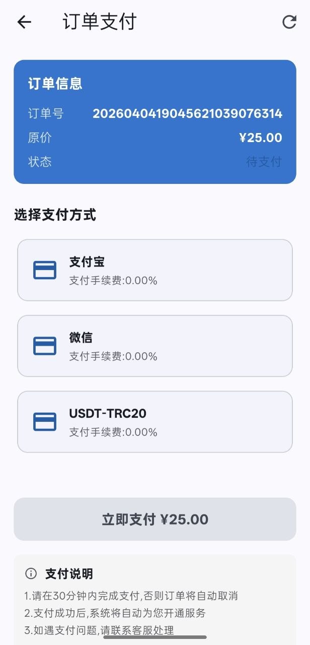 订单支付页,支付宝、微信、USDT 三种付款方式,下方为支付说明