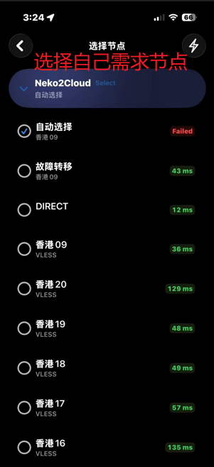 节点列表页,多个节点及其延迟,最上方有自动选择与故障转移两项